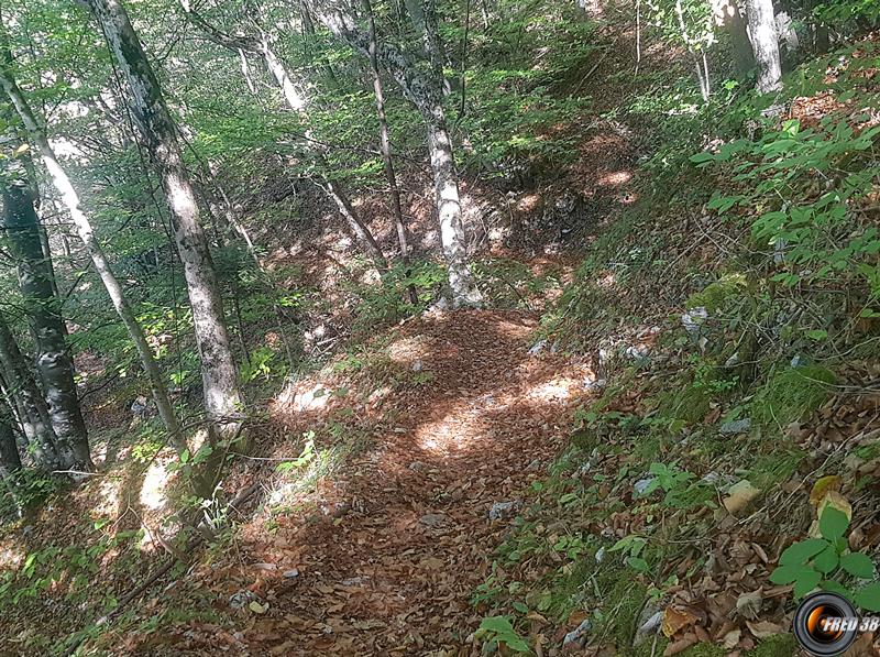 Sentier après la maison forestière.