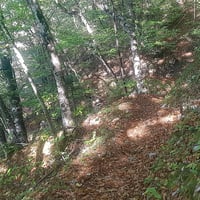 Sentier après la maison forestière.