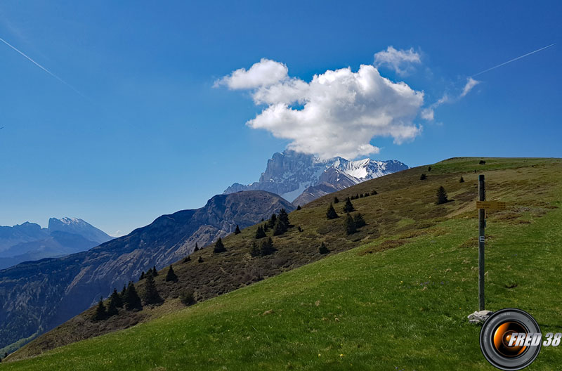 Arrivée dans l'alpage.