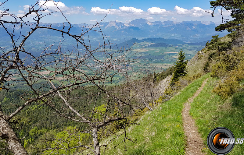 Le sentier de retour.