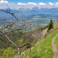 Le sentier de retour.
