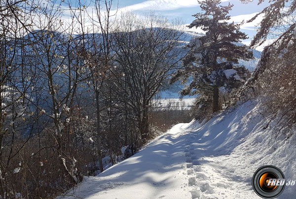 Dans la montée