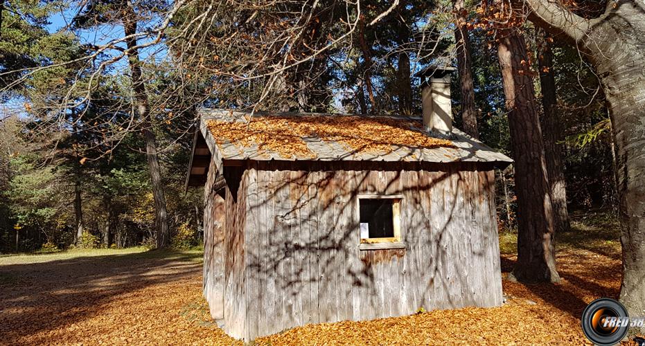 Cabane forestière Champ du Comte.