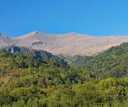 Cima di crosa photo