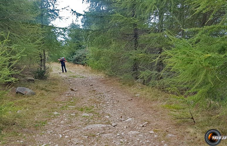 Sur la piste de montée.