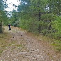 Sur la piste de montée.