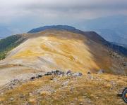 Cime corne de bouc photo1