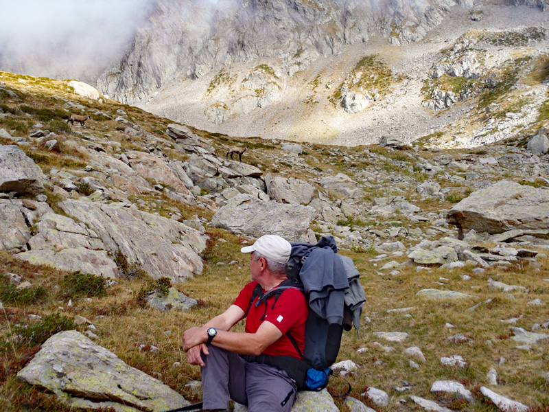 Chamois très présent dans ce secteur.