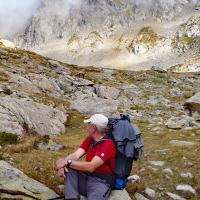 Chamois très présent dans ce secteur.