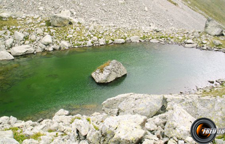 Cime de la jasse photo