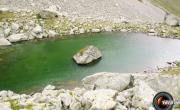 Cime de la jasse photo