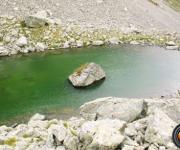 Cime de la jasse photo