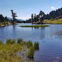 Lac Achard.