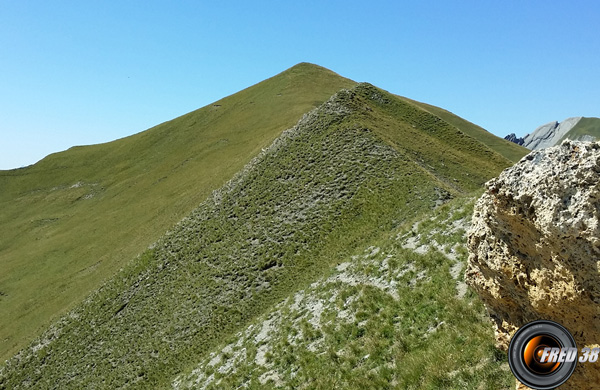 Sommet de Cime Noire