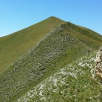 Sommet de Cime Noire