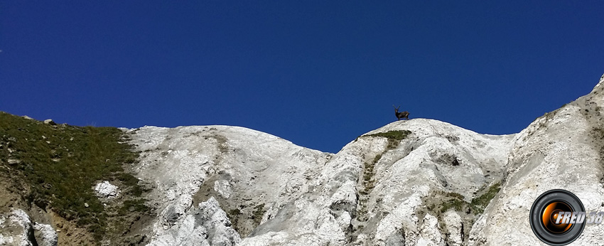 Au petit col des Encombres.