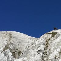 Au petit col des Encombres.