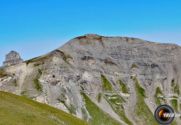 Cime pelousette photo