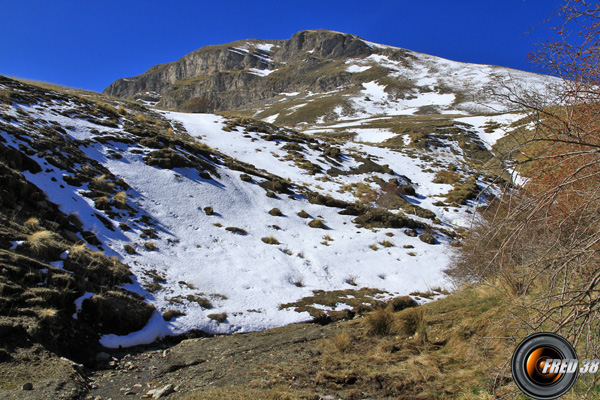 La Petite Cloche