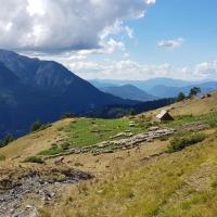La bergerie.