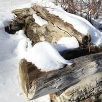 Fontaine prés du refuge privé de Cubertin.