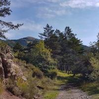 Sur la piste montant au lac.