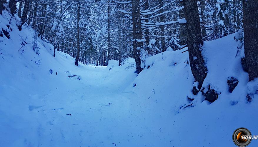 Montée par le chemin.