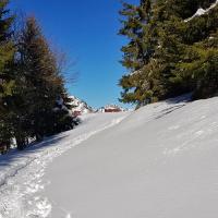 Début de la descente.
