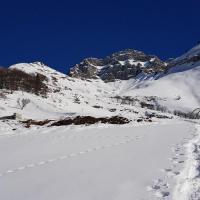 Dans la descente, vue sur l'Arcalod.