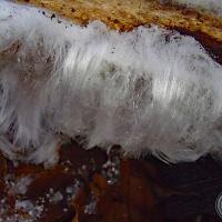 Cheveux de glace.