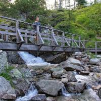 La passerelle.