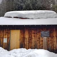 Cabane forestière de la Fullie.