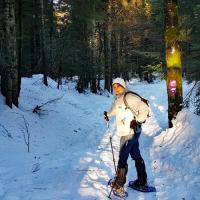 Sur la piste de raquettes