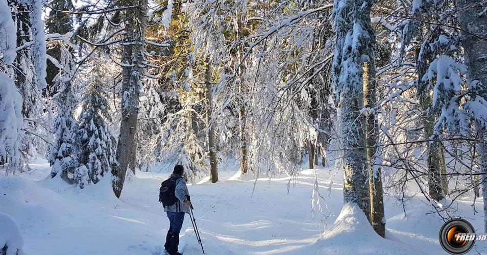 Sur la piste de raquettes