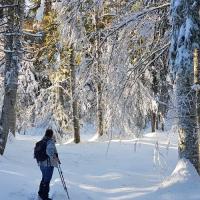 Sur la piste de raquettes