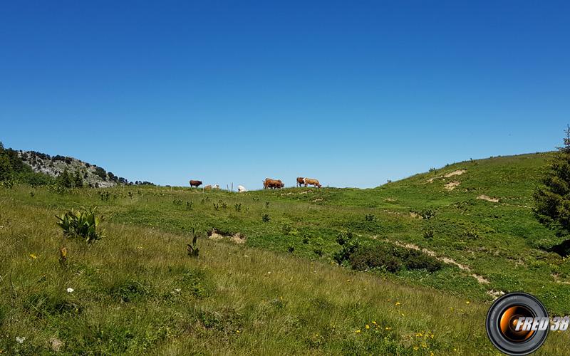 Au col d'Hurtières.