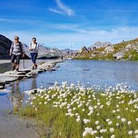 Lac des Vaches.