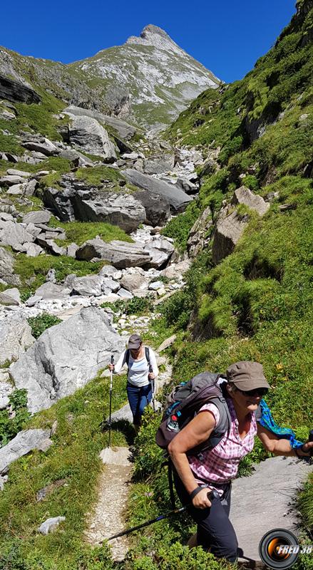 Vallon de l'Arcelin.