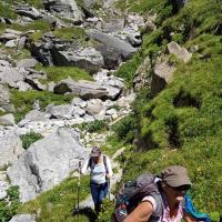 Vallon de l'Arcelin.