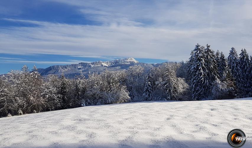 Belle vue sur la Chartreuse