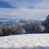 Belle vue sur la Chartreuse