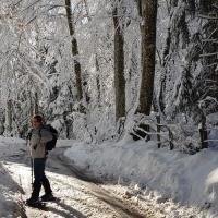 Petite route de descente