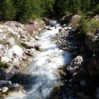 Torrent du Grand Trabuc.