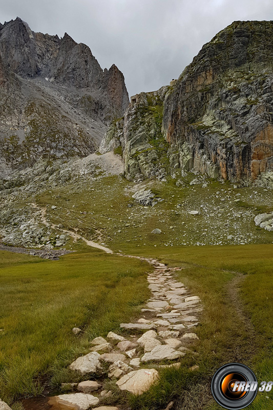 Passage marécageux,