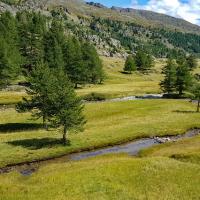 Près de Pont du Moutet.