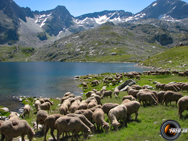 En fond le pic et le col de l'Agnelin.