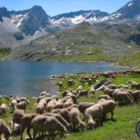 En fond le pic et le col de l'Agnelin.