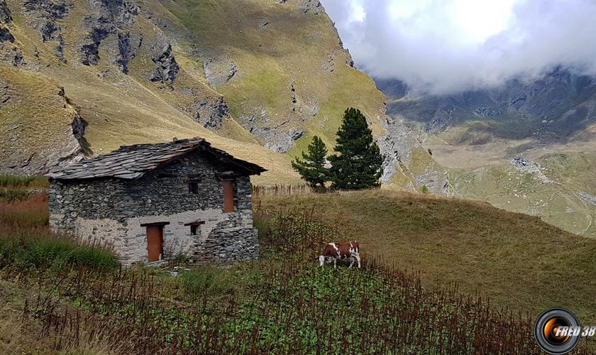 La bergerie.