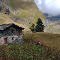 La bergerie.