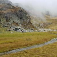 Le petit vallon.